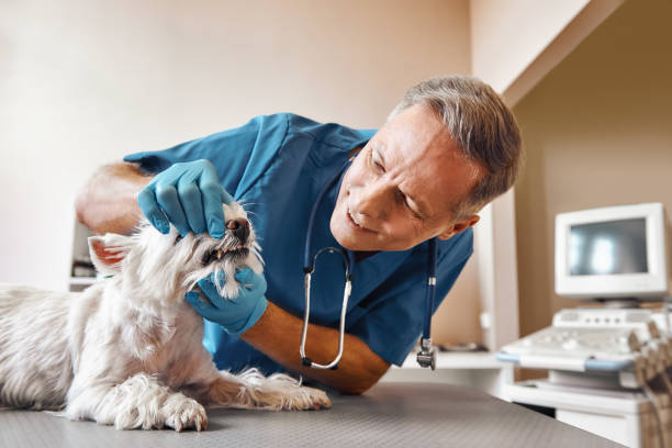 Best Emergency Tooth Extraction in Albemarle, NC