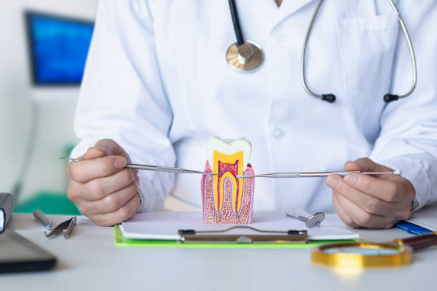 Best Emergency Denture Repair in Albemarle, NC